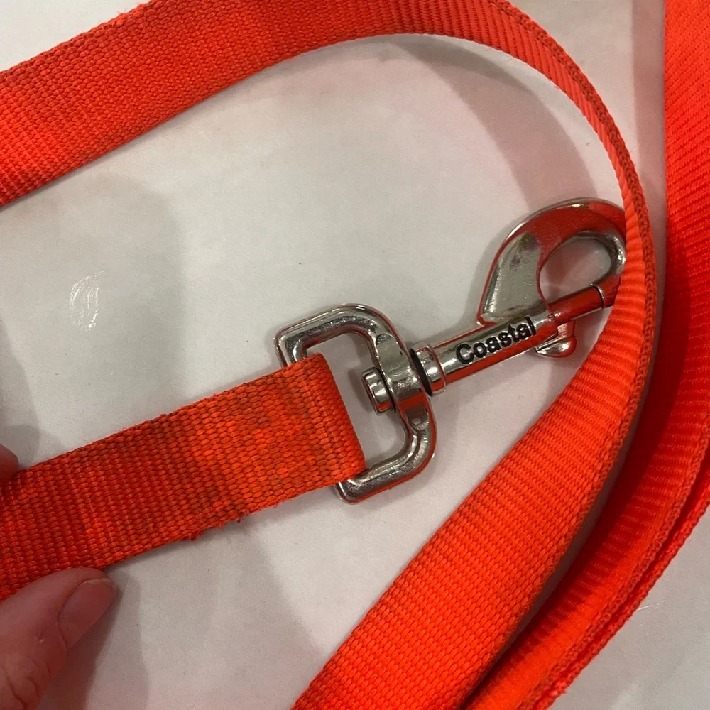 Orange Puppy Collar + Leash
